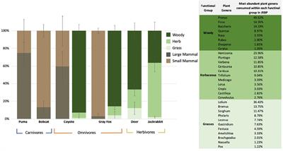 Molecular Ecological Network Analyses: An Effective Conservation Tool for the Assessment of Biodiversity, Trophic Interactions, and Community Structure